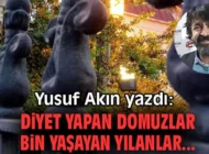 DİYET YAPAN DOMUZLAR/BİN YAŞAYAN YILANLAR…