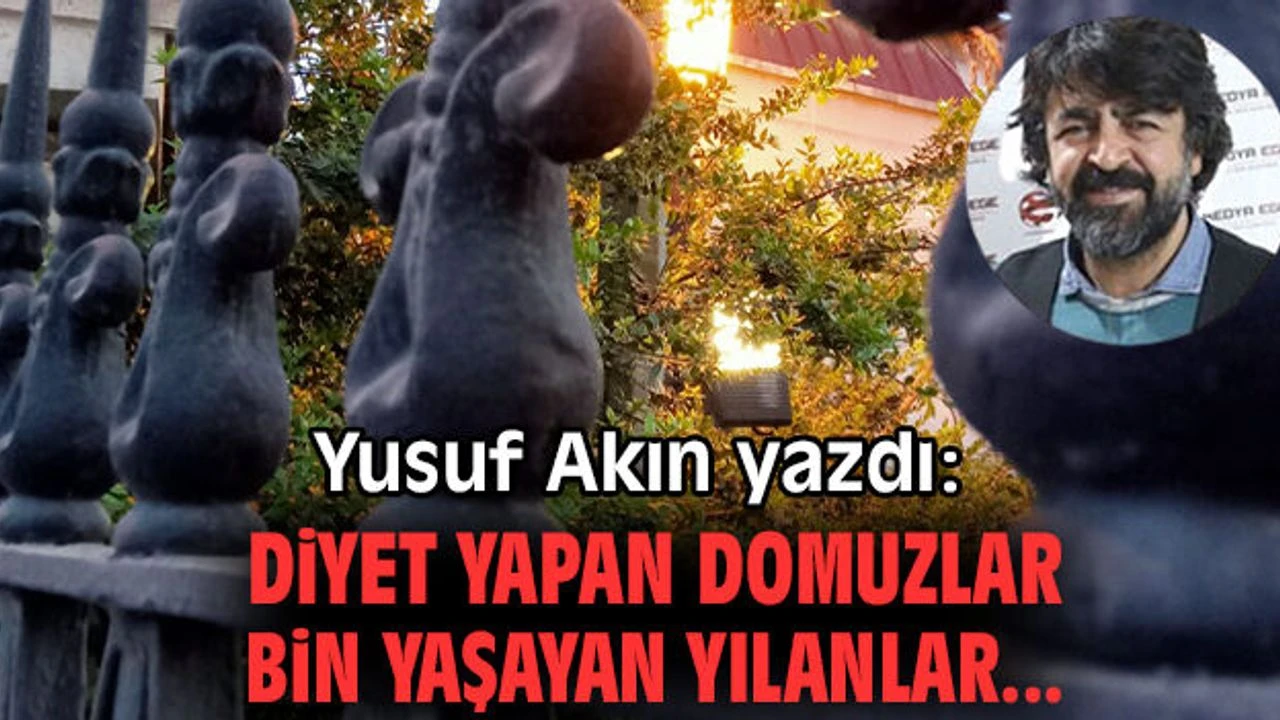 DİYET YAPAN DOMUZLAR/BİN YAŞAYAN YILANLAR…