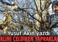AKLINI ÇELDİREN YAPRAKLAR..