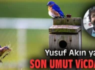 Son umut vicdan…