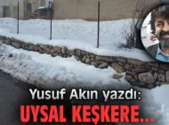 UYSAL KEŞKERE..